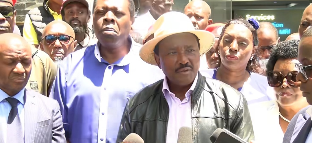 What Happened to Dangote’s Kitui Plan? Kalonzo Points Finger at Ruto